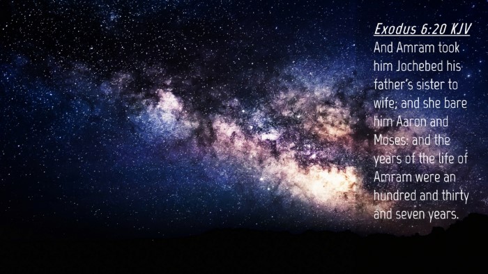 Picture 04 - Exodus 6:20 KJV Desktop Wallpaper - And Amram took him Jochebed his father's sister - Desktop Bible Verse Wallpaper