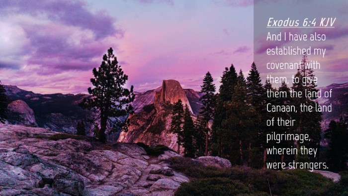 Picture 04 - Exodus 6:4 KJV Desktop Wallpaper - And I have also established my covenant with - Desktop Bible Verse Wallpaper