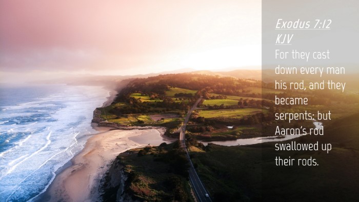 Picture 04 - Exodus 7:12 KJV Desktop Wallpaper - For they cast down every man his rod, and they - Desktop Bible Verse Wallpaper