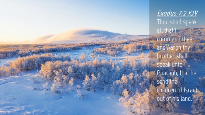 Picture 04 - Exodus 7:2 KJV Desktop Wallpaper - Thou shalt speak all that I command thee: and - Desktop Bible Verse Wallpaper