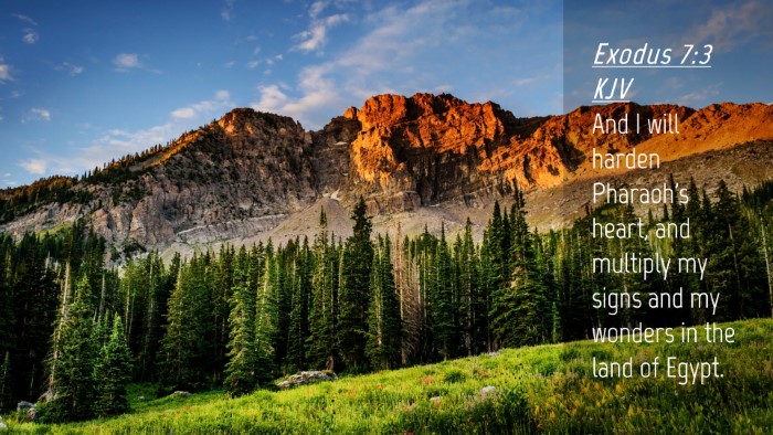 Picture 04 - Exodus 7:3 KJV Desktop Wallpaper - And I will harden Pharaoh's heart, and multiply - Desktop Bible Verse Wallpaper