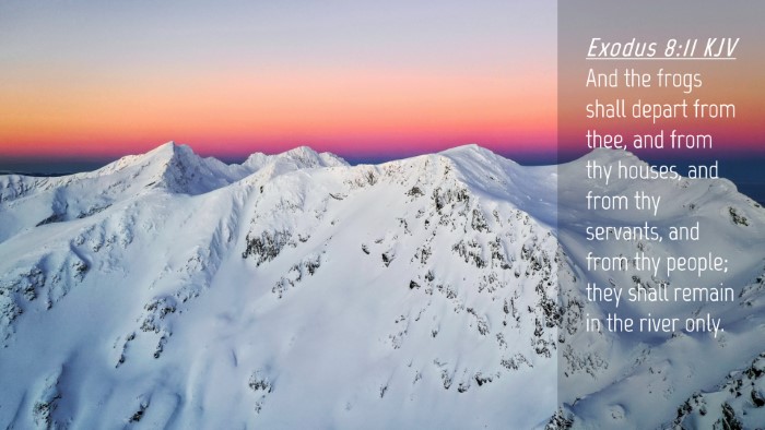 Picture 04 - Exodus 8:11 KJV Desktop Wallpaper - And the frogs shall depart from thee, and from - Desktop Bible Verse Wallpaper