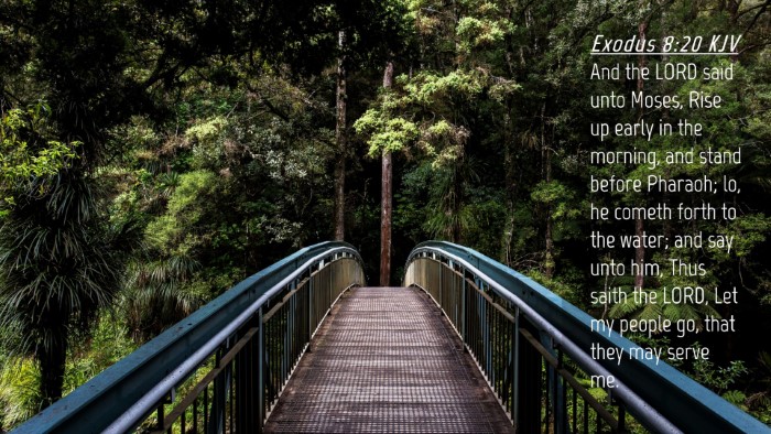 Picture 04 - Exodus 8:20 KJV Desktop Wallpaper - And the LORD said unto Moses, Rise up early in - Desktop Bible Verse Wallpaper