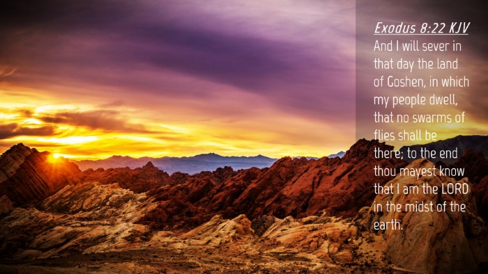 Picture 04 - Exodus 8:22 KJV Desktop Wallpaper - And I will sever in that day the land of Goshen, - Desktop Bible Verse Wallpaper