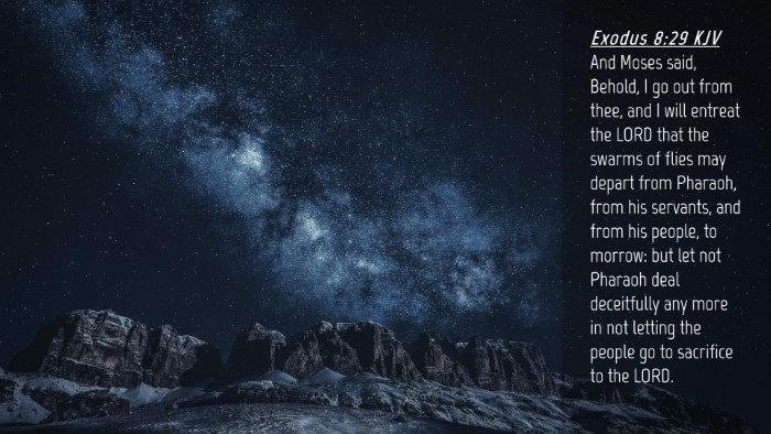 Picture 04 - Exodus 8:29 KJV Desktop Wallpaper - And Moses said, Behold, I go out from thee, and I - Desktop Bible Verse Wallpaper