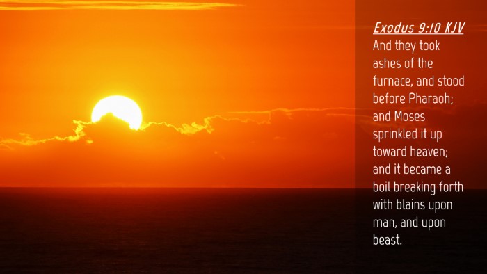 Picture 04 - Exodus 9:10 KJV Desktop Wallpaper - And they took ashes of the furnace, and stood - Desktop Bible Verse Wallpaper