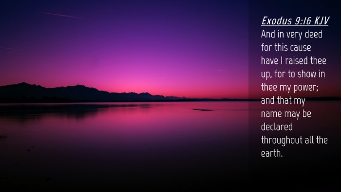 Picture 04 - Exodus 9:16 KJV Desktop Wallpaper - And in very deed for this cause have I raised - Desktop Bible Verse Wallpaper