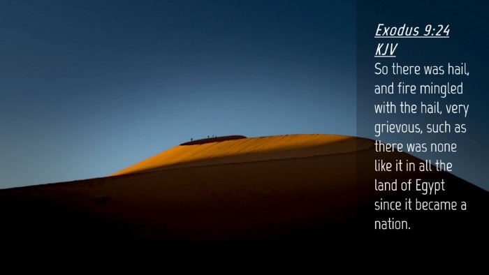Picture 04 - Exodus 9:24 KJV Desktop Wallpaper - So there was hail, and fire mingled with the - Desktop Bible Verse Wallpaper