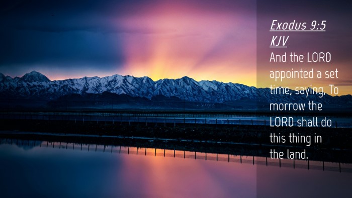 Picture 04 - Exodus 9:5 KJV Desktop Wallpaper - And the LORD appointed a set time, saying, To - Desktop Bible Verse Wallpaper
