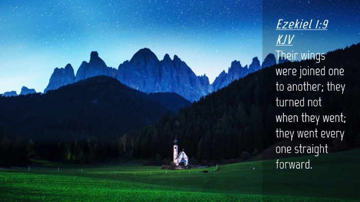 Picture 04 - Ezekiel 1:9 KJV Desktop Wallpaper - Their wings were joined one to another; they - Desktop Bible Verse Wallpaper