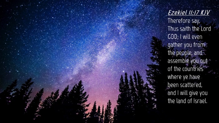 Picture 04 - Ezekiel 11:17 KJV Desktop Wallpaper - Therefore say, Thus saith the Lord GOD; I will - Desktop Bible Verse Wallpaper