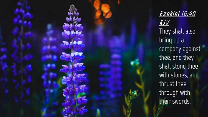Picture 04 - Ezekiel 16:40 KJV Desktop Wallpaper - They shall also bring up a company against thee, - Desktop Bible Verse Wallpaper
