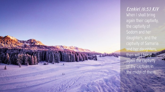 Picture 04 - Ezekiel 16:53 KJV Desktop Wallpaper - When I shall bring again their captivity, the - Desktop Bible Verse Wallpaper