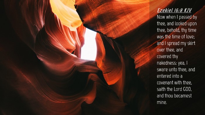 Picture 04 - Ezekiel 16:8 KJV Desktop Wallpaper - Now when I passed by thee, and looked upon thee, - Desktop Bible Verse Wallpaper