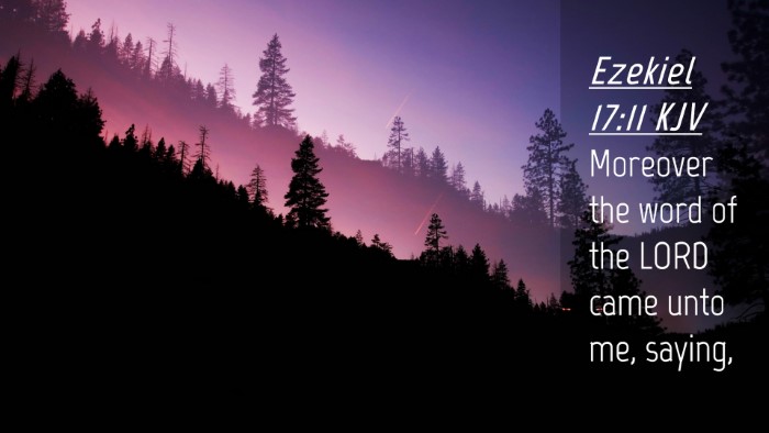 Picture 04 - Ezekiel 17:11 KJV Desktop Wallpaper - Moreover the word of the LORD came unto me, - Desktop Bible Verse Wallpaper