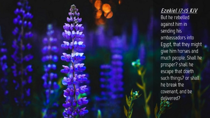 Picture 04 - Ezekiel 17:15 KJV Desktop Wallpaper - But he rebelled against him in sending his - Desktop Bible Verse Wallpaper