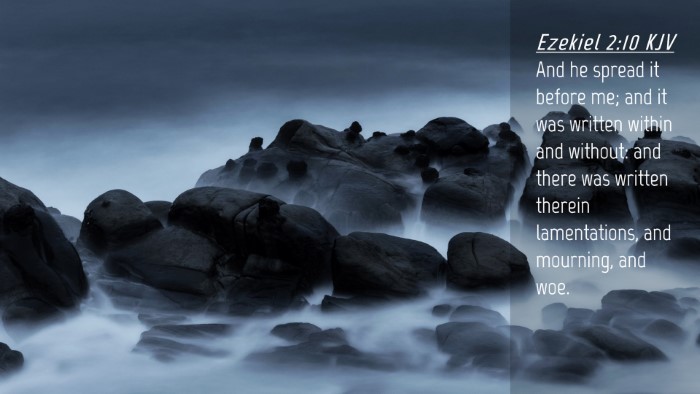 Picture 04 - Ezekiel 2:10 KJV Desktop Wallpaper - And he spread it before me; and it was written - Desktop Bible Verse Wallpaper