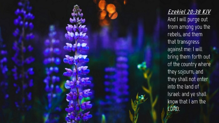 Picture 04 - Ezekiel 20:38 KJV Desktop Wallpaper - And I will purge out from among you the rebels, - Desktop Bible Verse Wallpaper