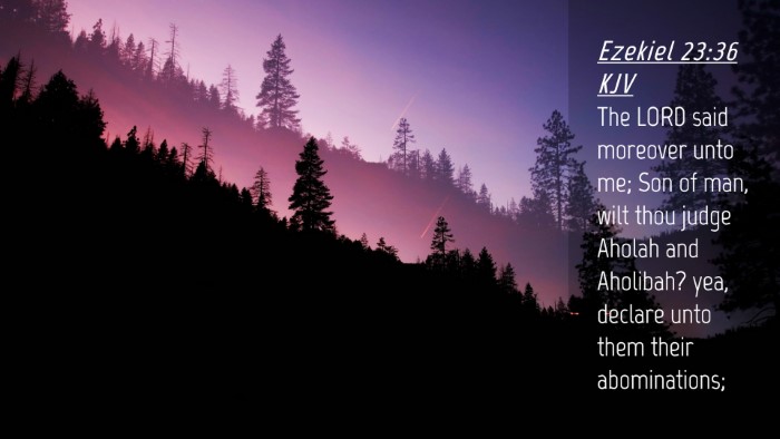 Picture 04 - Ezekiel 23:36 KJV Desktop Wallpaper - The LORD said moreover unto me; Son of man, wilt - Desktop Bible Verse Wallpaper