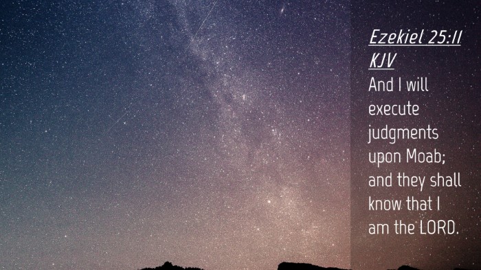 Picture 04 - Ezekiel 25:11 KJV Desktop Wallpaper - And I will execute judgments upon Moab; and they - Desktop Bible Verse Wallpaper