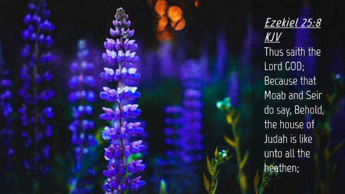 Picture 04 - Ezekiel 25:8 KJV Desktop Wallpaper - Thus saith the Lord GOD; Because that Moab and - Desktop Bible Verse Wallpaper