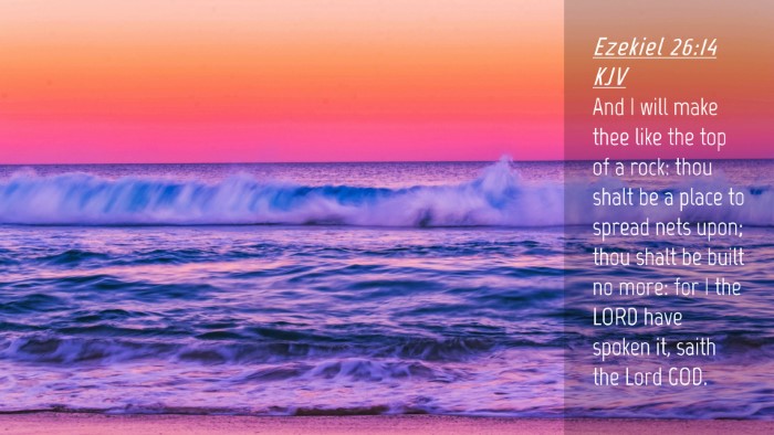 Picture 04 - Ezekiel 26:14 KJV Desktop Wallpaper - And I will make thee like the top of a rock: thou - Desktop Bible Verse Wallpaper