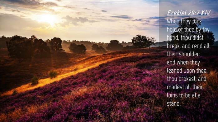 Picture 04 - Ezekiel 29:7 KJV Desktop Wallpaper - When they took hold of thee by thy hand, thou - Desktop Bible Verse Wallpaper