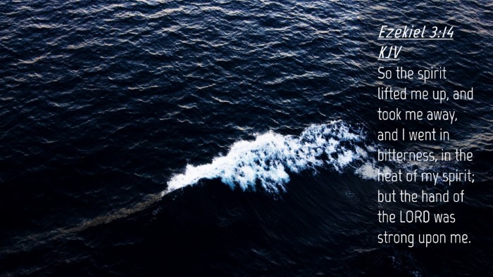Picture 04 - Ezekiel 3:14 KJV Desktop Wallpaper - So the spirit lifted me up, and took me away, and - Desktop Bible Verse Wallpaper