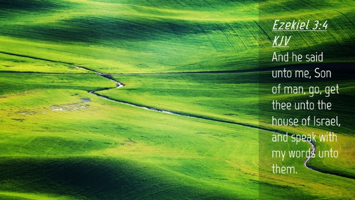 Picture 04 - Ezekiel 3:4 KJV Desktop Wallpaper - And he said unto me, Son of man, go, get thee - Desktop Bible Verse Wallpaper