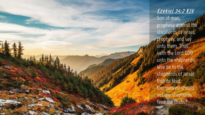 Picture 04 - Ezekiel 34:2 KJV Desktop Wallpaper - Son of man, prophesy against the shepherds of - Desktop Bible Verse Wallpaper