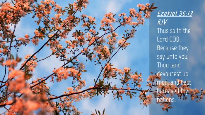Picture 04 - Ezekiel 36:13 KJV Desktop Wallpaper - Thus saith the Lord GOD; Because they say unto - Desktop Bible Verse Wallpaper