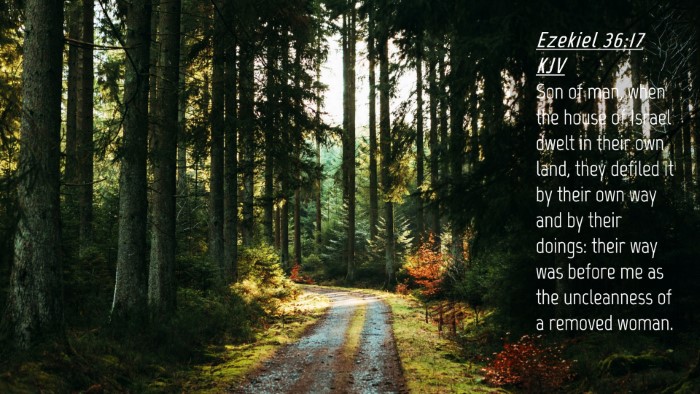 Picture 04 - Ezekiel 36:17 KJV Desktop Wallpaper - Son of man, when the house of Israel dwelt in - Desktop Bible Verse Wallpaper