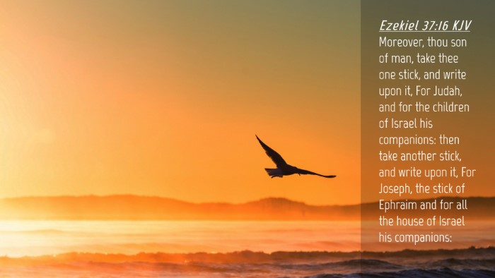 Picture 04 - Ezekiel 37:16 KJV Desktop Wallpaper - Moreover, thou son of man, take thee one stick, - Desktop Bible Verse Wallpaper