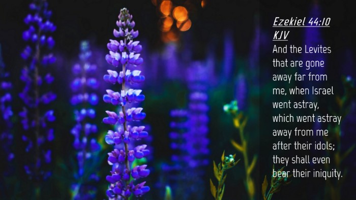 Picture 04 - Ezekiel 44:10 KJV Desktop Wallpaper - And the Levites that are gone away far from me, - Desktop Bible Verse Wallpaper