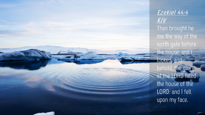 Picture 04 - Ezekiel 44:4 KJV Desktop Wallpaper - Then brought he me the way of the north gate - Desktop Bible Verse Wallpaper