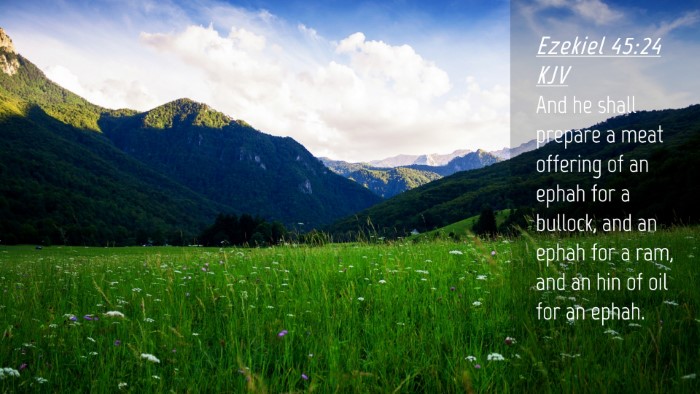 Picture 04 - Ezekiel 45:24 KJV Desktop Wallpaper - And he shall prepare a meat offering of an ephah - Desktop Bible Verse Wallpaper