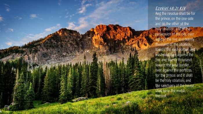 Picture 04 - Ezekiel 48:21 KJV Desktop Wallpaper - And the residue shall be for the prince, on the - Desktop Bible Verse Wallpaper