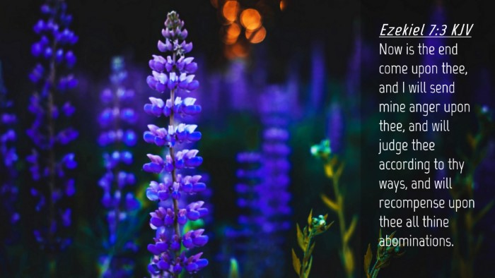 Picture 04 - Ezekiel 7:3 KJV Desktop Wallpaper - Now is the end come upon thee, and I will send - Desktop Bible Verse Wallpaper