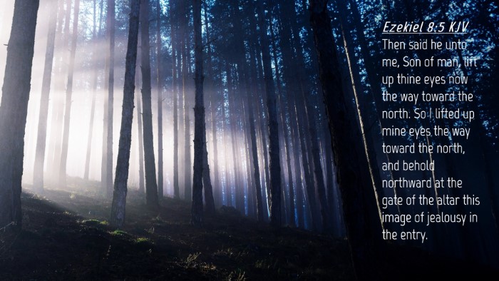 Picture 04 - Ezekiel 8:5 KJV Desktop Wallpaper - Then said he unto me, Son of man, lift up thine - Desktop Bible Verse Wallpaper