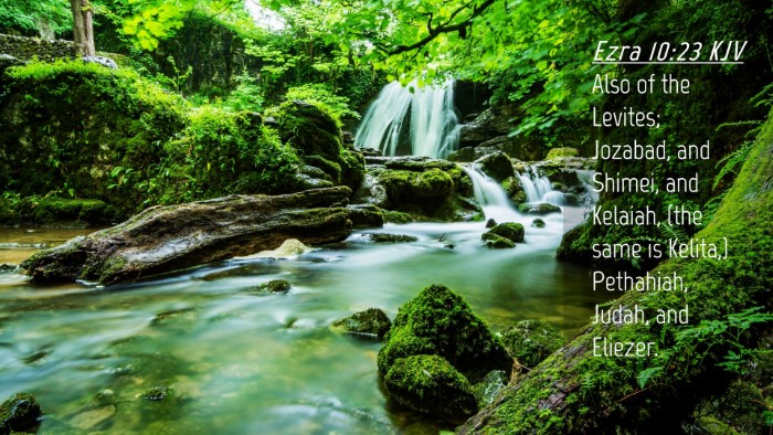 Picture 04 - Ezra 10:23 KJV Desktop Wallpaper - Also of the Levites; Jozabad, and Shimei, and - Desktop Bible Verse Wallpaper