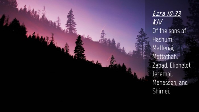 Picture 04 - Ezra 10:33 KJV Desktop Wallpaper - Of the sons of Hashum; Mattenai, Mattathah, - Desktop Bible Verse Wallpaper