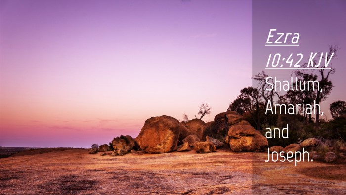 Picture 04 - Ezra 10:42 KJV Desktop Wallpaper - Shallum, Amariah, and - Desktop Bible Verse Wallpaper