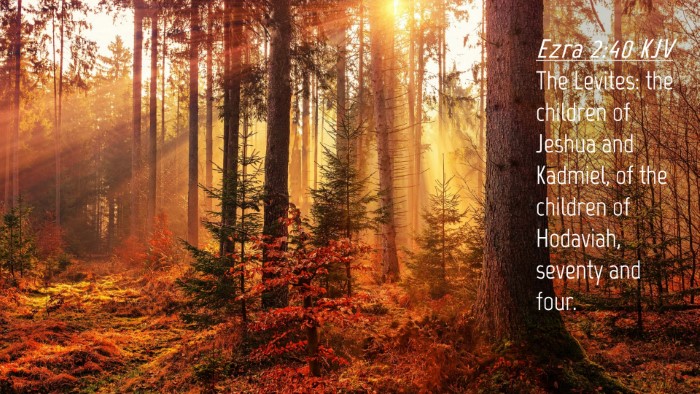 Picture 04 - Ezra 2:40 KJV Desktop Wallpaper - The Levites: the children of Jeshua and Kadmiel, - Desktop Bible Verse Wallpaper