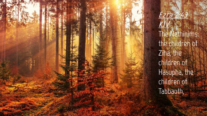 Picture 04 - Ezra 2:43 KJV Desktop Wallpaper - The Nethinims: the children of Ziha, the children - Desktop Bible Verse Wallpaper