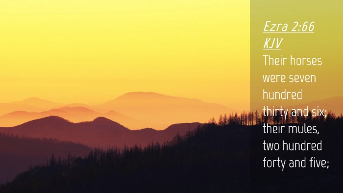 Picture 04 - Ezra 2:66 KJV Desktop Wallpaper - Their horses were seven hundred thirty and six; - Desktop Bible Verse Wallpaper