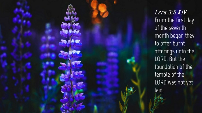 Picture 04 - Ezra 3:6 KJV Desktop Wallpaper - From the first day of the seventh month began - Desktop Bible Verse Wallpaper