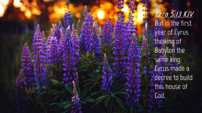 Picture 04 - Ezra 5:13 KJV Desktop Wallpaper - But in the first year of Cyrus the king of - Desktop Bible Verse Wallpaper