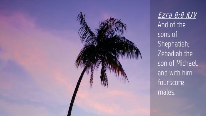 Picture 04 - Ezra 8:8 KJV Desktop Wallpaper - And of the sons of Shephatiah; Zebadiah the son - Desktop Bible Verse Wallpaper