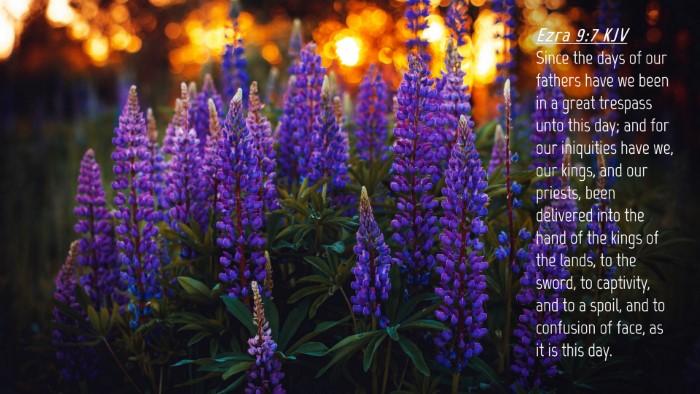 Picture 04 - Ezra 9:7 KJV Desktop Wallpaper - Since the days of our fathers have we been in a - Desktop Bible Verse Wallpaper