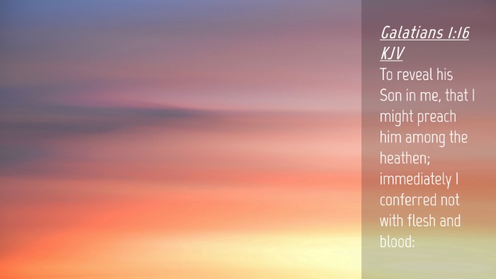 Picture 04 - Galatians 1:16 KJV Desktop Wallpaper - To reveal his Son in me, that I might preach him - Desktop Bible Verse Wallpaper